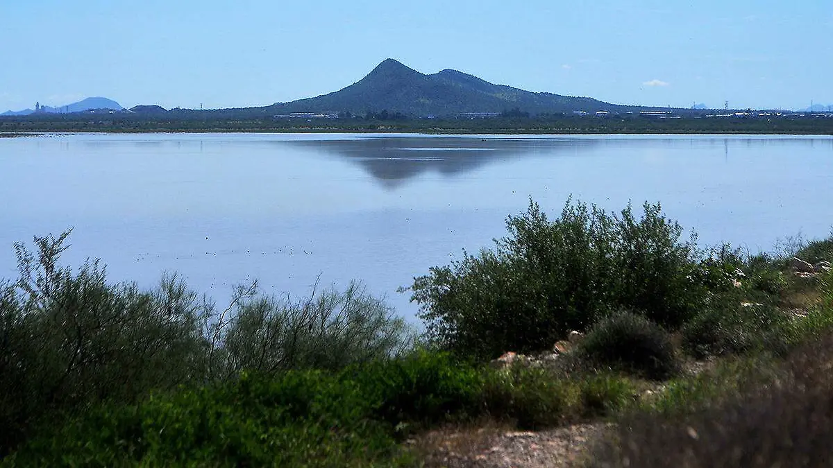 Presa Abelardo L Rodriguez Omar Carrazco (9)